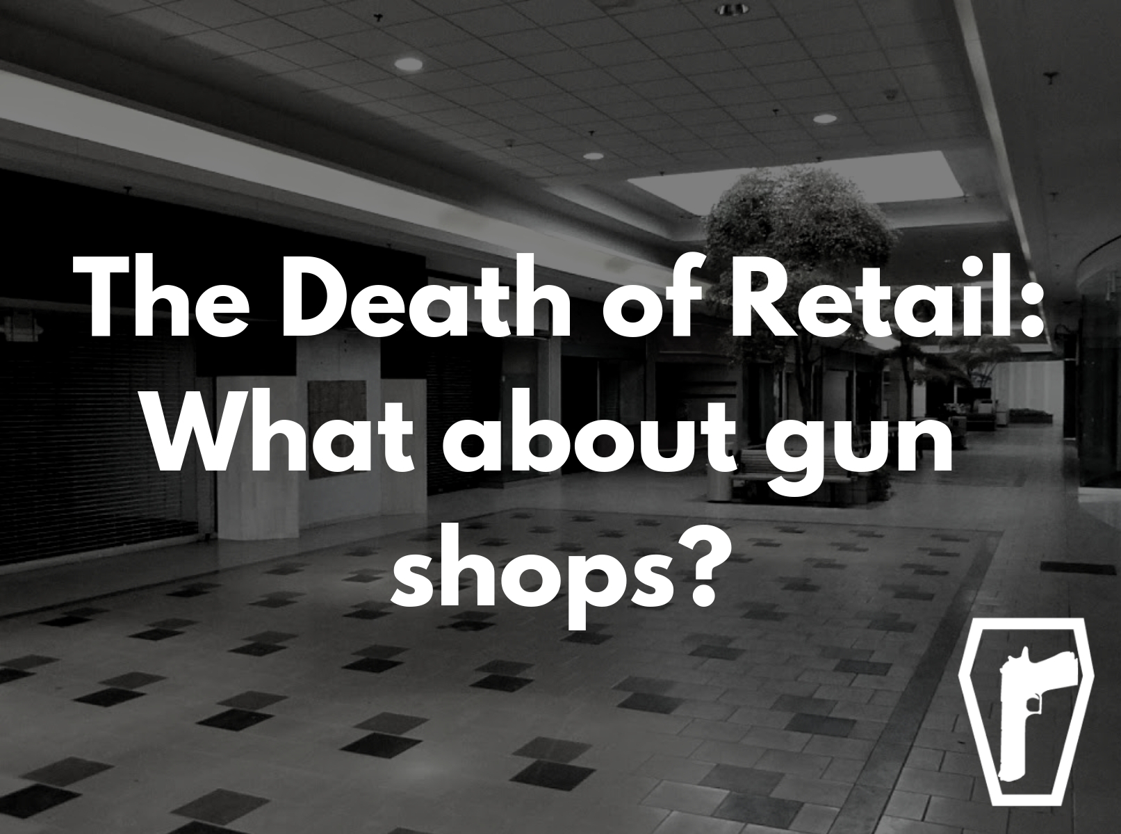 Retail Stores are Dying – Gun Stores, too?