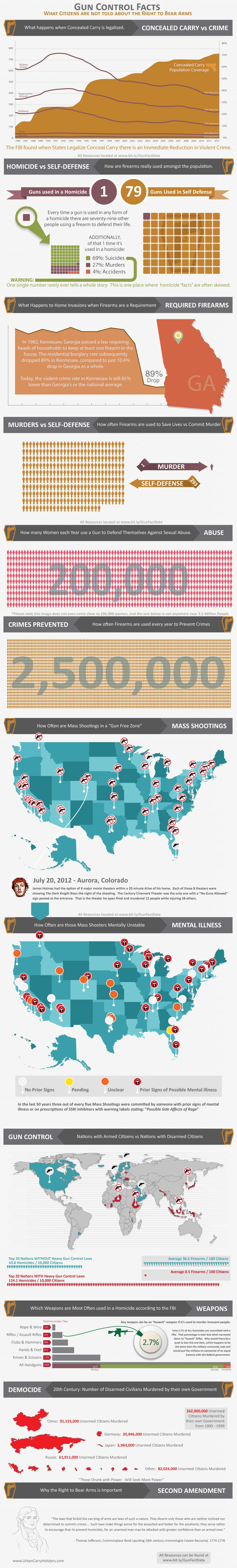 Gun Control Infographic